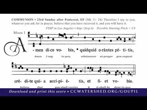 COMMUNION • 23rd Sunday after Pentecost