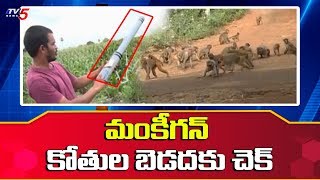 పంటపొలాల్లో కోతుల బెడదకు చెక్ | Nizamabad Farmer Made Monkey Gun With Less Cost