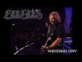 BEE GEES: WEDDING DAY  (LIVE)