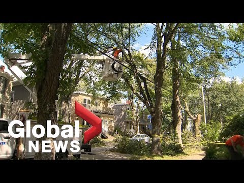 Hurricane Dorian: Extensive power outages in Atlantic Canada in the wake of storm Video