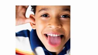 Zoo Reader Cards první čtení v angličtině s kartami se zvířaty