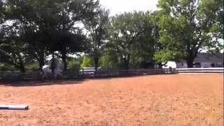 Download lagu Como mp3 Download lagu Como mp3