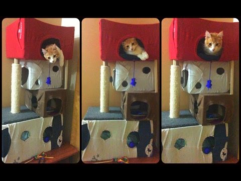 Como hacer una casa - torre a tu gato con cartón!!! DIY 🏠😸