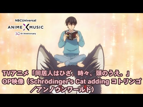 OP1 «Unknown World» — Schrodinger's Cat adding Kotringo