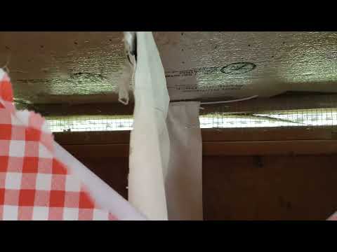 Nesting box curtains after