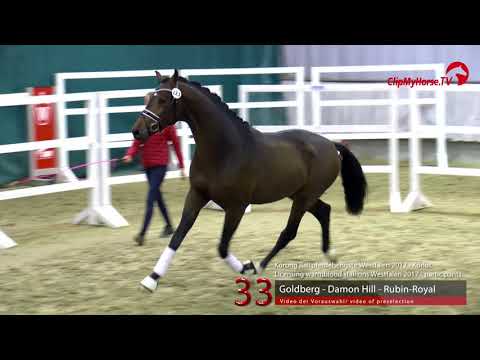 33 Junghengst v. Goldberg - Damon Hill