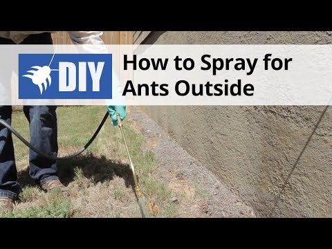  How to Spray for Ants Outside Video 