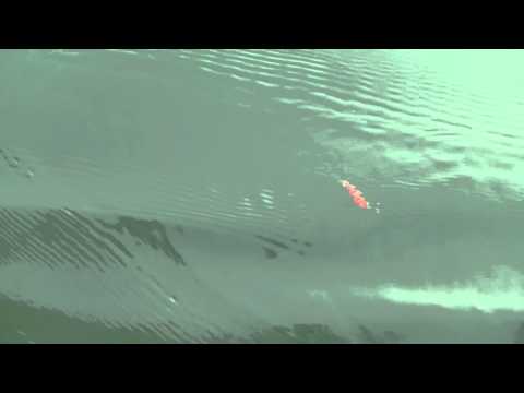 download lagu mp3 mp4 Kastmaster Spoon, download lagu Kastmaster Spoon gratis, unduh video klip Download Kastmaster Spoon Mp3 dan Mp4 Free All Gratis