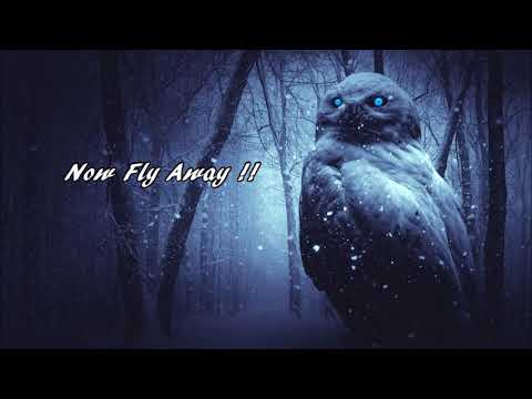 Secrets of The Snow Globe