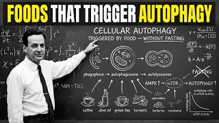 5 Foods That Secretly Trigger Autophagy Without Any Fasting (Feynman Explained)