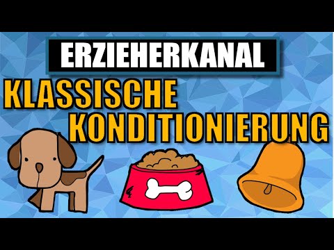 Classical conditioning - Pavlov's classical conditioning | EDUCATOR CHANNEL