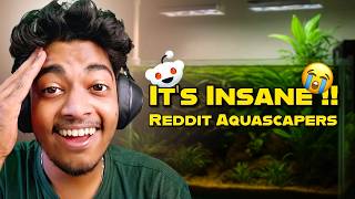 Reddit Aquascaping is WILD 😭🤣 | Goldfish Momo Reaction !