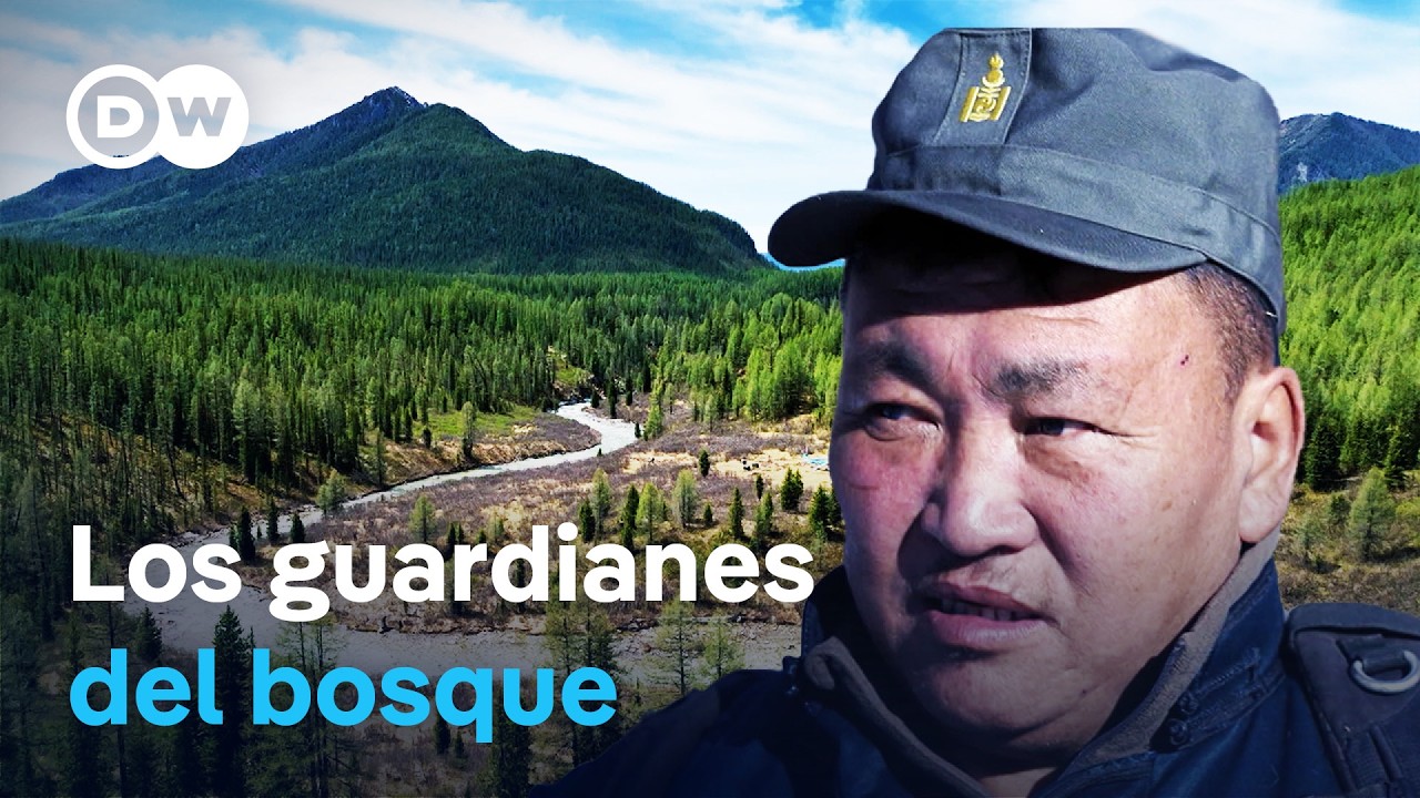 Mongolia - El valle de los osos | DW Documental