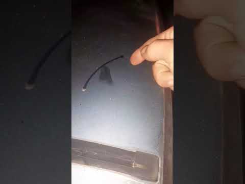 terrible helada en dolores pcia de buenos aires .. anoche 14/6/26 #heladas