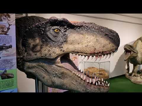 MUZEUL DE ȘTIINȚELE NATURII BACĂU