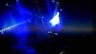 GEIST - Ameisen (livepic)