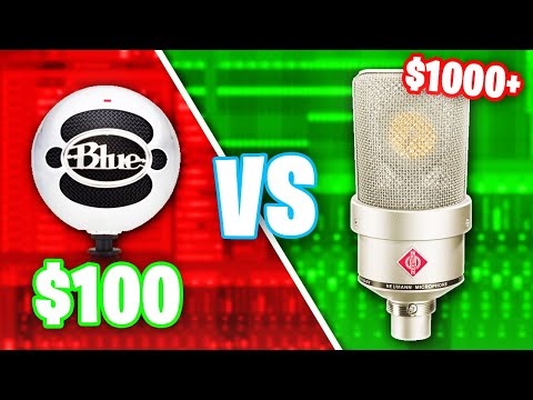 $100 Dollar Mic VS $1000 Dollar Mic