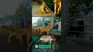 MV Alaska Cruise | সুন্দরবনে বিলাসবহুল ক্রুজ ভ্রমণ | Sundarban Luxury Tour