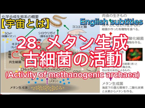 メタンサイクル: 気候に関連する微生物が発見される