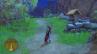 DQ１１をする成人男性
