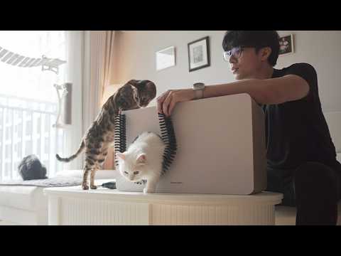 I Made a $35 Automatic Cat Grooming Box