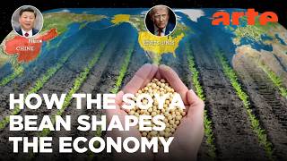 Soya: A Geopolitical Bean | ARTE.tv Documentary