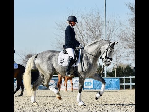 SUERTE DE SUSAETA-DEBUT 4 AÑOS - YEGUA ESPAÑOLA