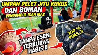 Download lagu TERLALU KEJAM..‼️ Racikan umpan kukus pelet jitu penguras empang. TANPA ESEN. mp3