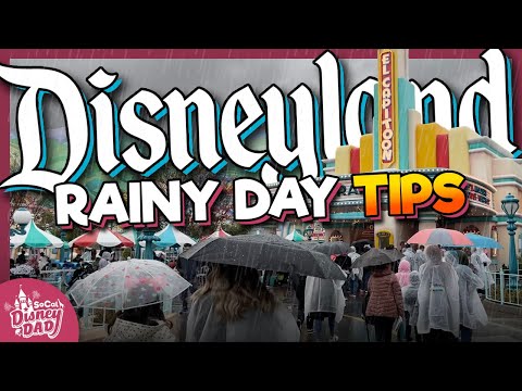 12 BEST Tips for Rainy Days at Disneyland in 2024