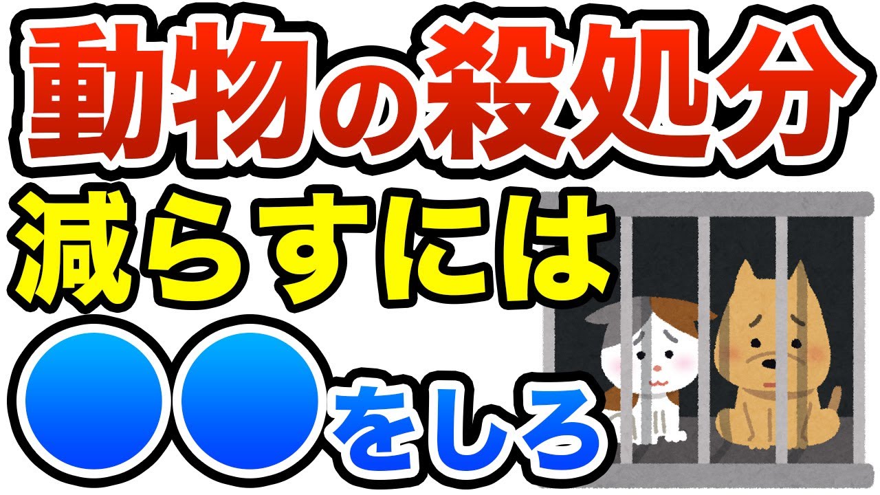 謎肉のペットフードを食べさせられている動物達の殺処分を無くすには！　ひろゆき切り抜き