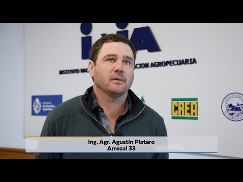 Ing. Agr. Agustín Platero - Arrozal 33
