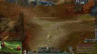 Whisper PvP Cleric Aion 4.3