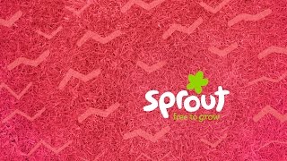 Sprout 2015  Refresh Sizzle