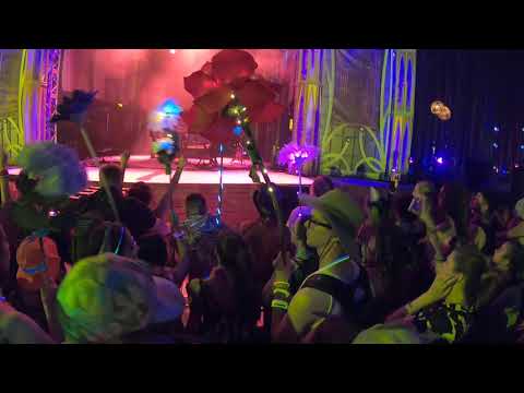 Crooked Colours - Perfect Run (Electric Forest 2019)
