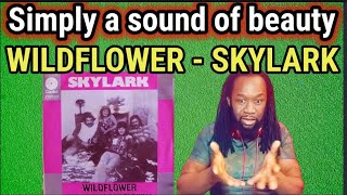 How did i miss this? SKYLARK - Wildflower REACTION - First time hearing.