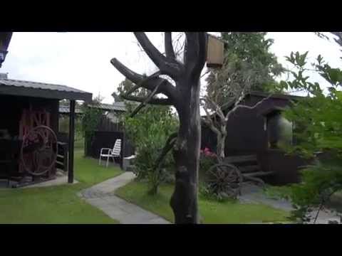 Noclegi i wypoczynek w Hajnówce i Białowieży