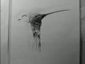 The Humming Bird // Hellovon at Espeis Gallery ...