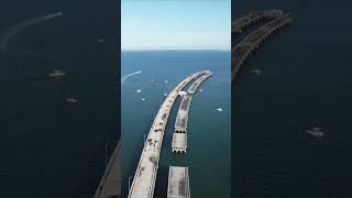 ❌Don’t ever bring shrimp 🦐#SkywayPier #shorts