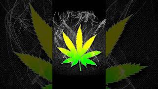 Tyga   Bouncin&#39; On My Dick heavy bass boosted