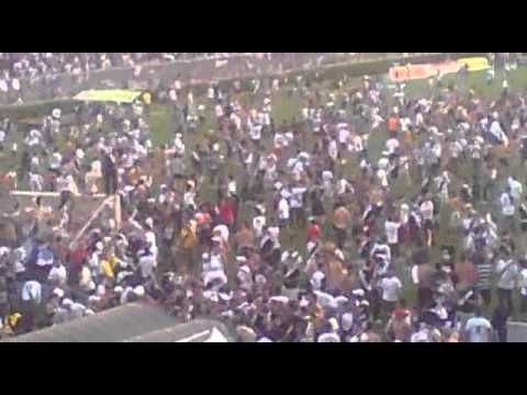 acesso da ponte preta , torcedores invadem campo