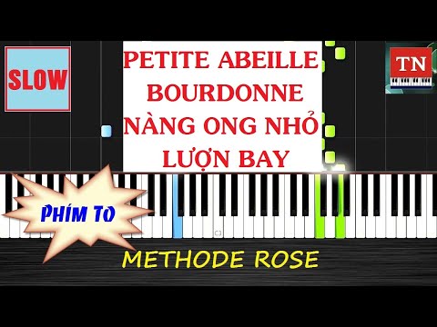 [ Methode Rose ] Petite Abeille Bourdonne | Nàng ong nhỏ lượn bay  | Piano Thy Nguyen Tutorial