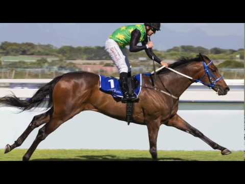 USO MASTER TURFFONTEIN VICTORY MOON DAY