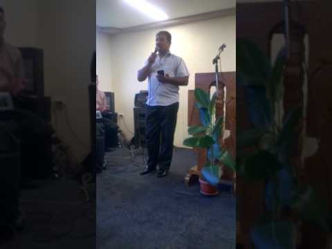 Fratele gabor din lunca mures