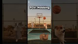 ||Mobbing|| Amen🙏 #capcut #cat #Mobbing #sad