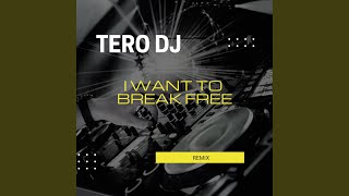 Download lagu I Want To Break Free (Remix) mp3
