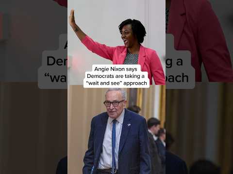 Angie Nixon says Democrats are taking a “wait and see” approach