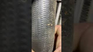 dtc p2448 quickly Fix