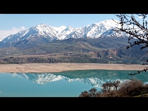 Природа гор Узбекистана / Апрель 2021 / The nature of the mountains of Uzbekistan