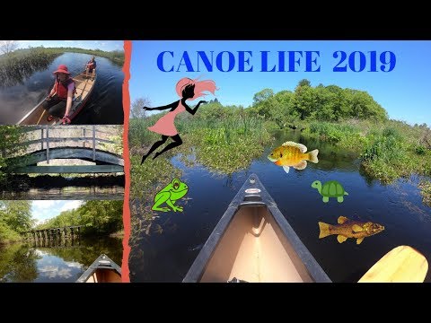 Canoeing The Charles River - South End Pond -Bogastow Brook - GoPro