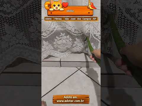 Vídeo de Millie